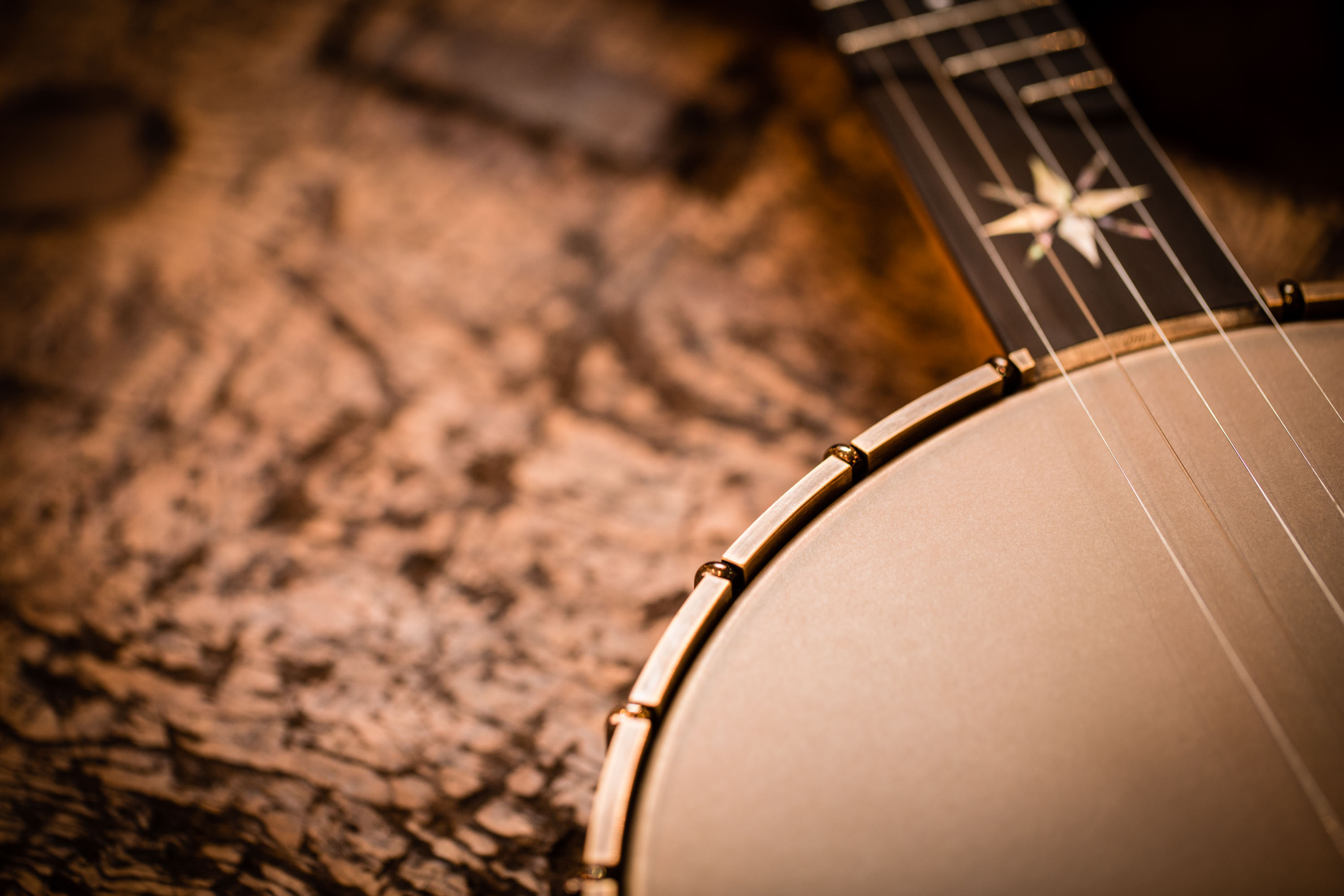 Banjos at The Music Emporium