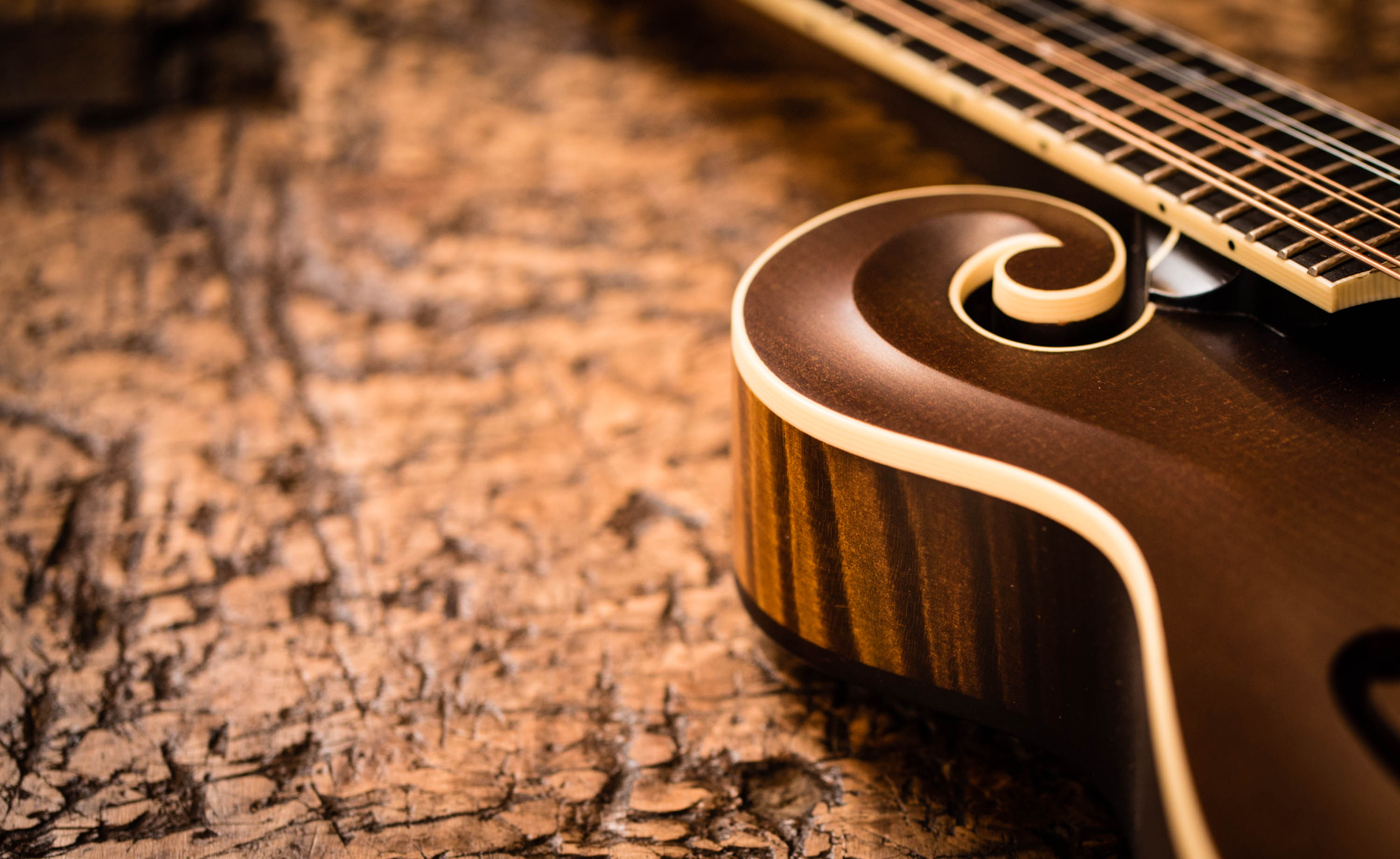 Mandolins at The Music Emporium